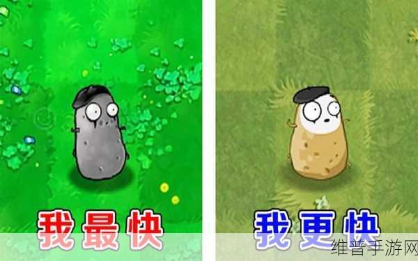 深度剖析植物大战僵尸模仿者的奇妙玩法