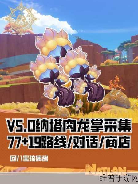 原神肉龙掌快速收集技巧全解析
