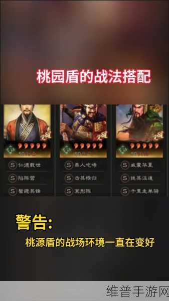 三国志战略版许褚兵书深度解析与搭配指南