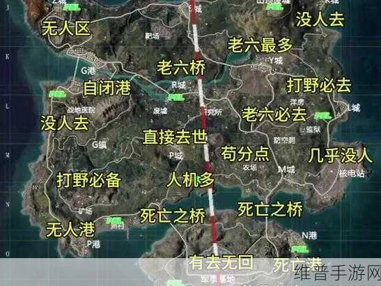 炫迈持久美味补给站,决战和平精英海岛地图的终极策略