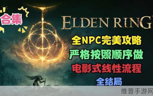 艾尔登法环随机mod参数设置全攻略
