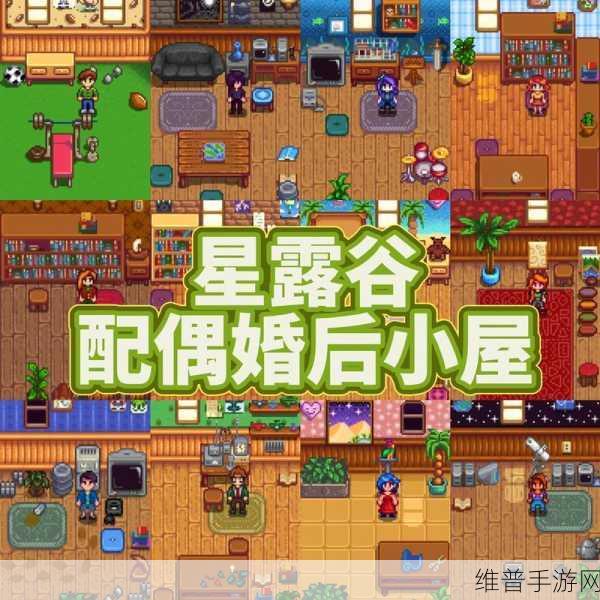 星露谷物语结婚玩法全解析 助你寻得真爱