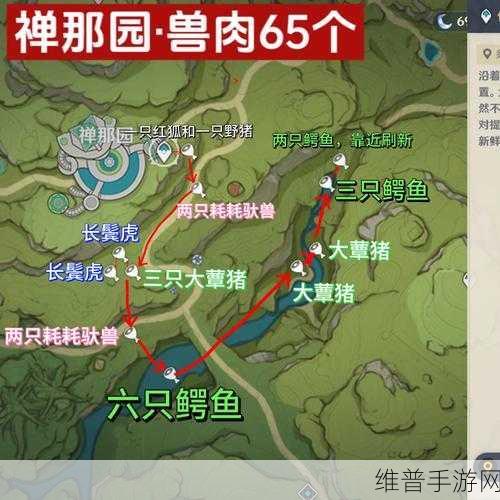 原神兽肉获取攻略，探寻兽肉丰富的宝藏之地