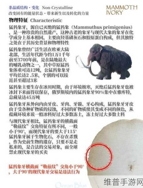创造与魔法猛犸象饲养全攻略，揭秘猛犸象的饮食偏好