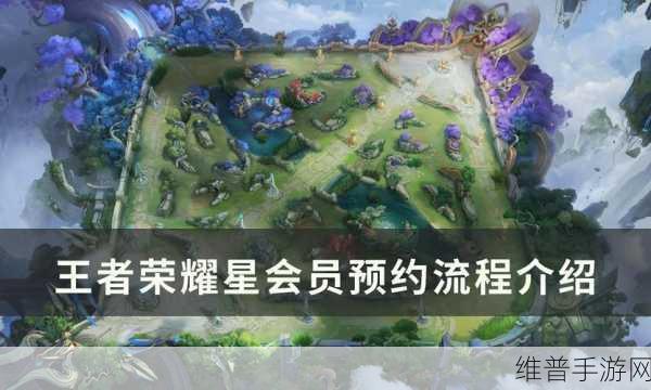 王者荣耀星会员全面解析，最新入口位置与攻略指南
