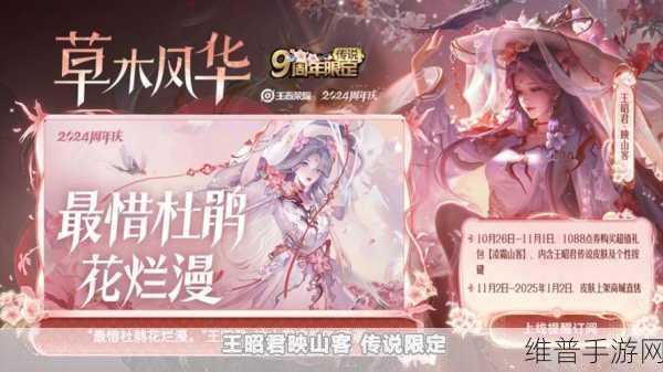 王者荣耀王昭君新皮肤映山红深度解析与攻略