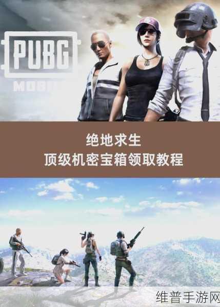 绝地求生战场，智胜策略揭秘，巧取资源装备避战夺魁全攻略