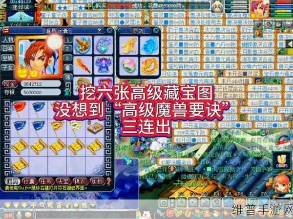 梦幻西游藏宝图全攻略,如何高效挖掘与分类