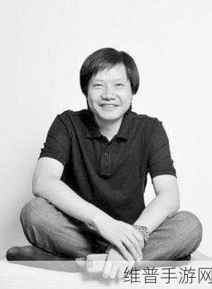 雷军班班服上身，重温青春岁月，手游攻略与数据深度解析