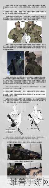 暗黑黎明深度解析，探索龟壳博格十三级进阶装备的神秘构造与奥秘