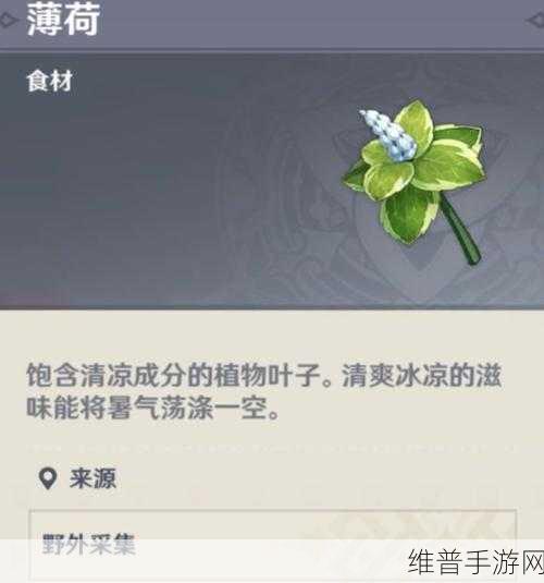 原神兽肉薄荷卷获取攻略与食谱配方详解