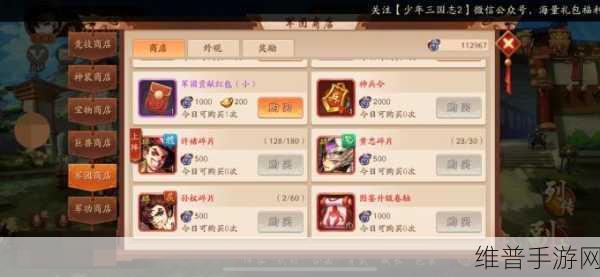 少年三国志2深度攻略，玺印属性选择全解析