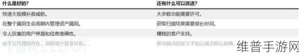 2025年手游公司必备，十大顶尖漏洞管理工具深度解析