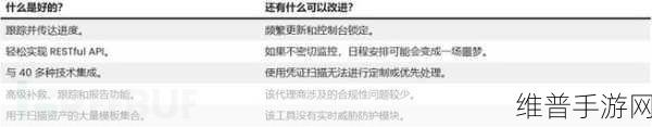 2025年手游公司必备,十大顶尖漏洞管理工具深度解析