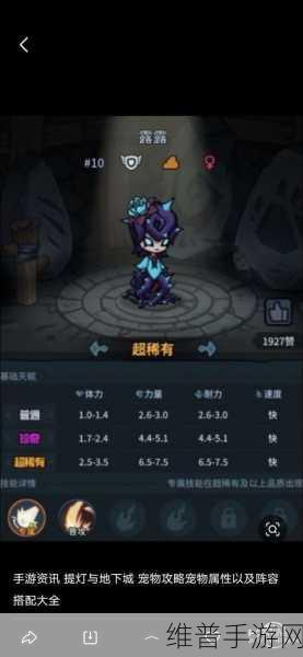 提灯与地下城，宠物性格排名与养成攻略