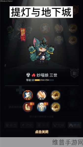 提灯与地下城,宠物性格排名与养成攻略