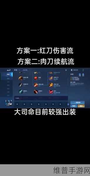 张大仙庄周出装铭文秘籍，制霸战场的关键