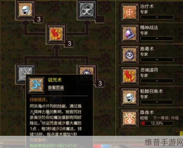 传奇世界手游道士职业深度攻略与全面解析