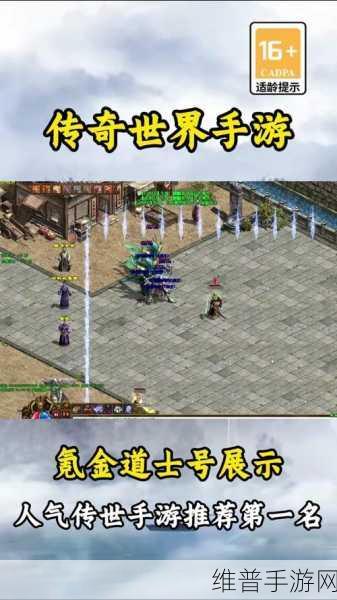 传奇世界手游道士职业深度攻略与全面解析