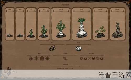 饥荒联机版种瓜得瓜新版农场全攻略，作物生长时间详解