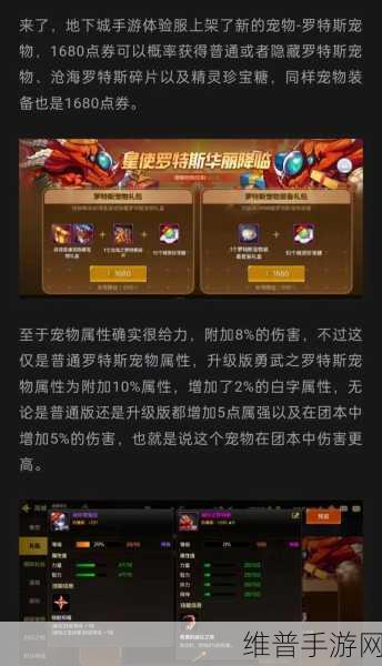 DNF手游宠物全解析，选择你的战斗伙伴