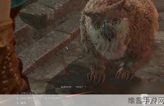 博德之门3枭熊驯养全攻略，打造你的专属萌宠伙伴