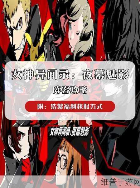女神异闻录夜幕魅影,五维提升秘籍大公开