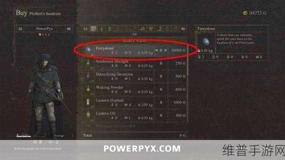 龙之信条 2 畅玩必备，游玩配置全解析