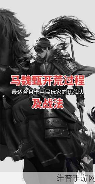 率土之滨关甄张开荒技能优化秘籍
