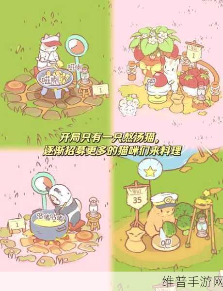 喵星人特工队，萌趣之旅与致胜秘籍