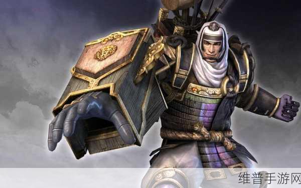 无双大蛇 3 织田市，魅力与实力并存的武将