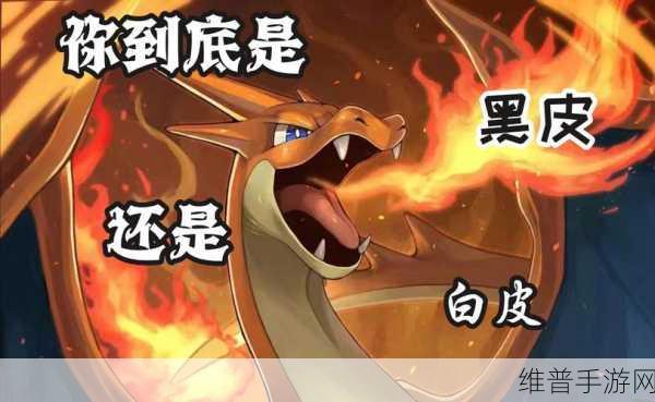 口袋妖怪VS，火恐龙属性深度解析与实战攻略
