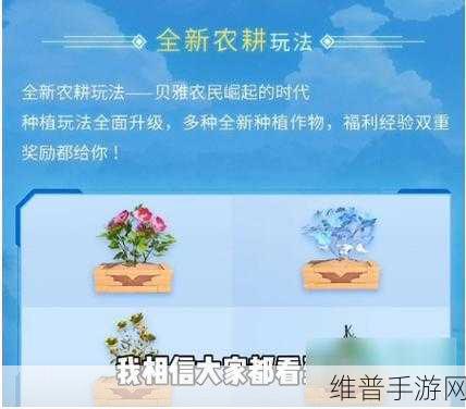 创造与魔法，全面解析优质耕地使用攻略