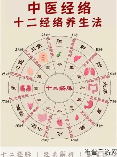 武林秘籍节气病人位置全攻略
