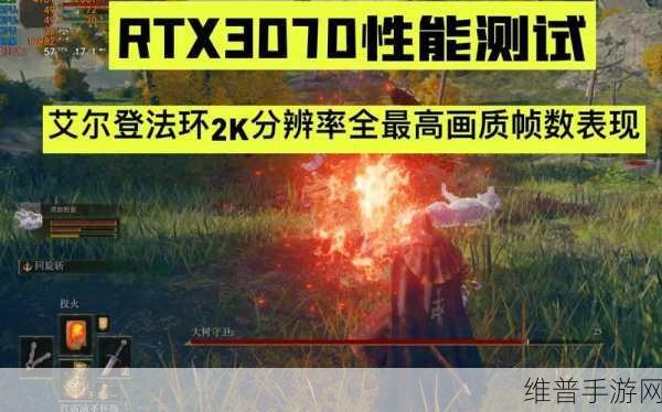 艾尔登法环深度解析，数字豪华版与普通版的全面对比