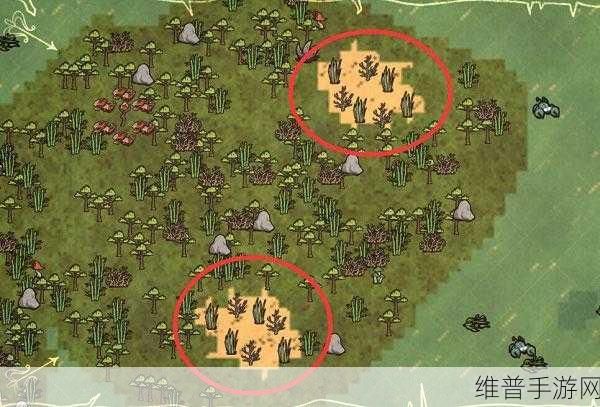 饥荒海难版渡渡鸟繁殖秘籍与支援解析