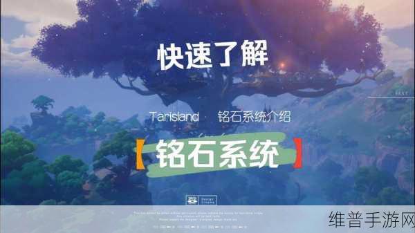塔瑞斯世界登陆问题全解析，原因与解决办法