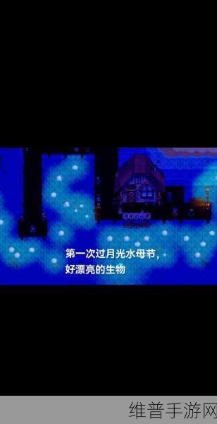 星露谷物语，塞巴斯蒂安十心攻略全解析