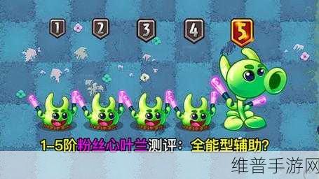 植物大战僵尸 2 粉丝心叶兰深度解析