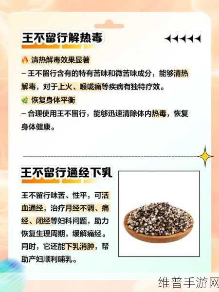 为了吾王，草药节省秘籍大公开