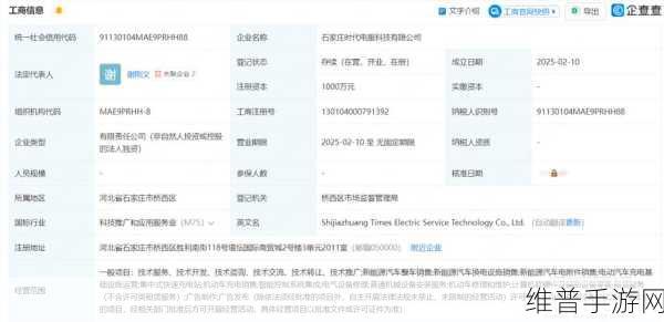 手游市场新观察，传宁德时代896工作制下，手游公司如何保持员工活力与创造力