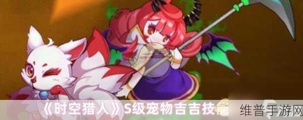 时空猎人手游攻略，揭秘最佳宠物选择