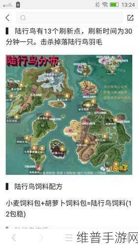 创造与魔法陆行鸟位置全攻略，捕捉你的专属坐骑