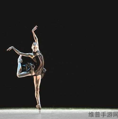 绝对演绎新芭蕾风顶奢璀璨登场，完美演绎经典黑白天鹅传奇！
