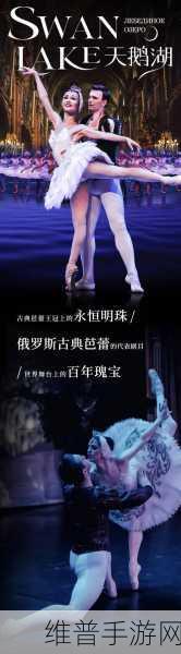 绝对演绎新芭蕾风顶奢璀璨登场，完美演绎经典黑白天鹅传奇！