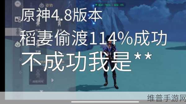 原神稻妻任务全攻略详解