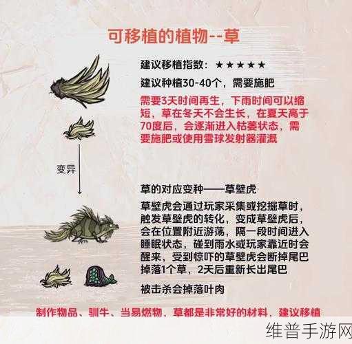 饥荒游戏中小树枝获取、移植与资源管理的高效技巧详解