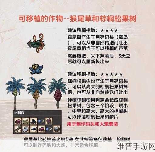 饥荒游戏中小树枝获取、移植与资源管理的高效技巧详解
