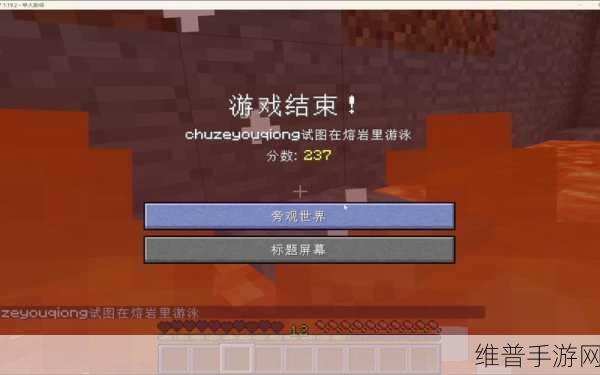 我的世界极限生存模式，全面攻略与技巧解析