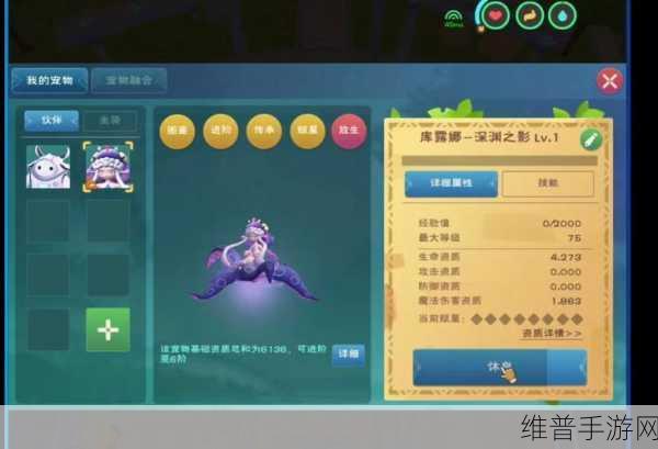 创造与魔法火马追寻之旅，坐标位置详解与捕捉攻略